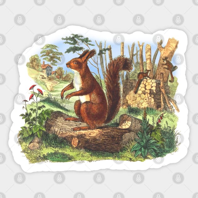 SQUIRREL Sticker by Biophilia